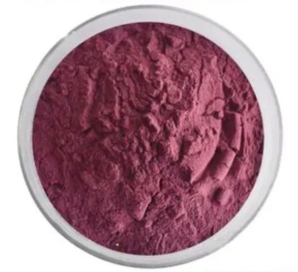 Can Mulberry Extract Powder Help with Aging Skin?